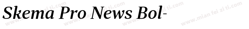 Skema Pro News Bol字体转换